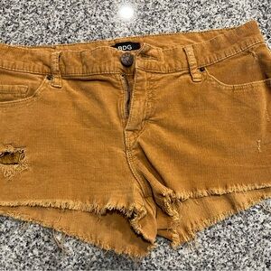 🍄 🌈 Urban Outfitters BDG Mustard Corduroy Shorty Shorts Size 29